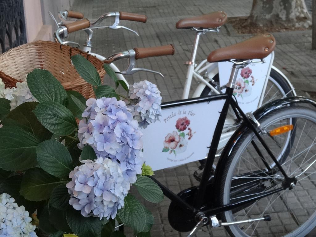 Posada De La Flor コロニア・デル・サクラメント エクステリア 写真
